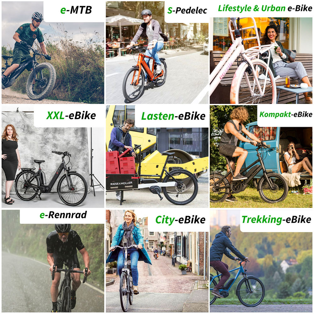 24V 10.Ah 250W EBike Akku Fahrrad Batterie Liion